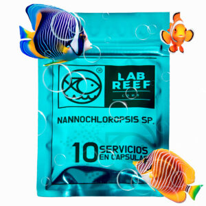 Fitoplancton (NANNOCHLOROPSIS)